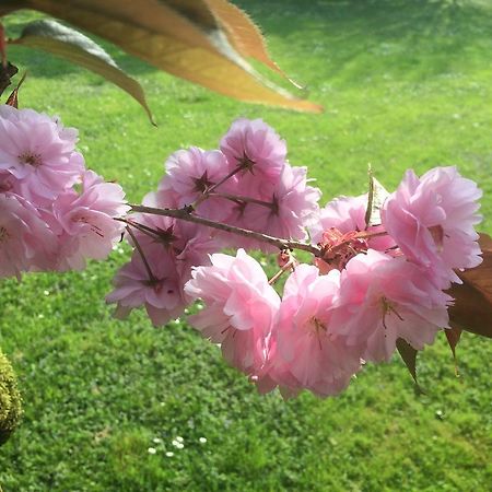 Il Cantelino Padova Ngoại thất bức ảnh