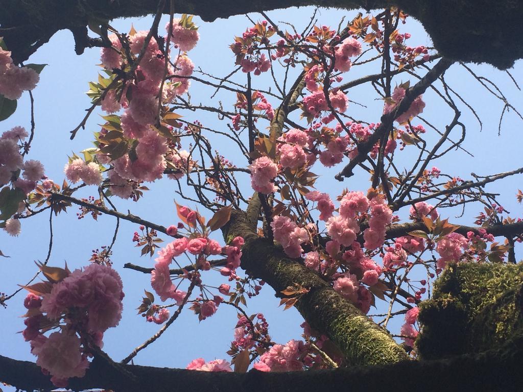 Il Cantelino Padova Phòng bức ảnh